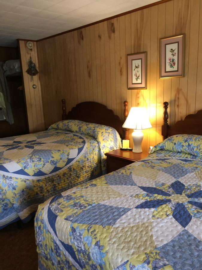 Cave Mountain Motel Windham Dış mekan fotoğraf
