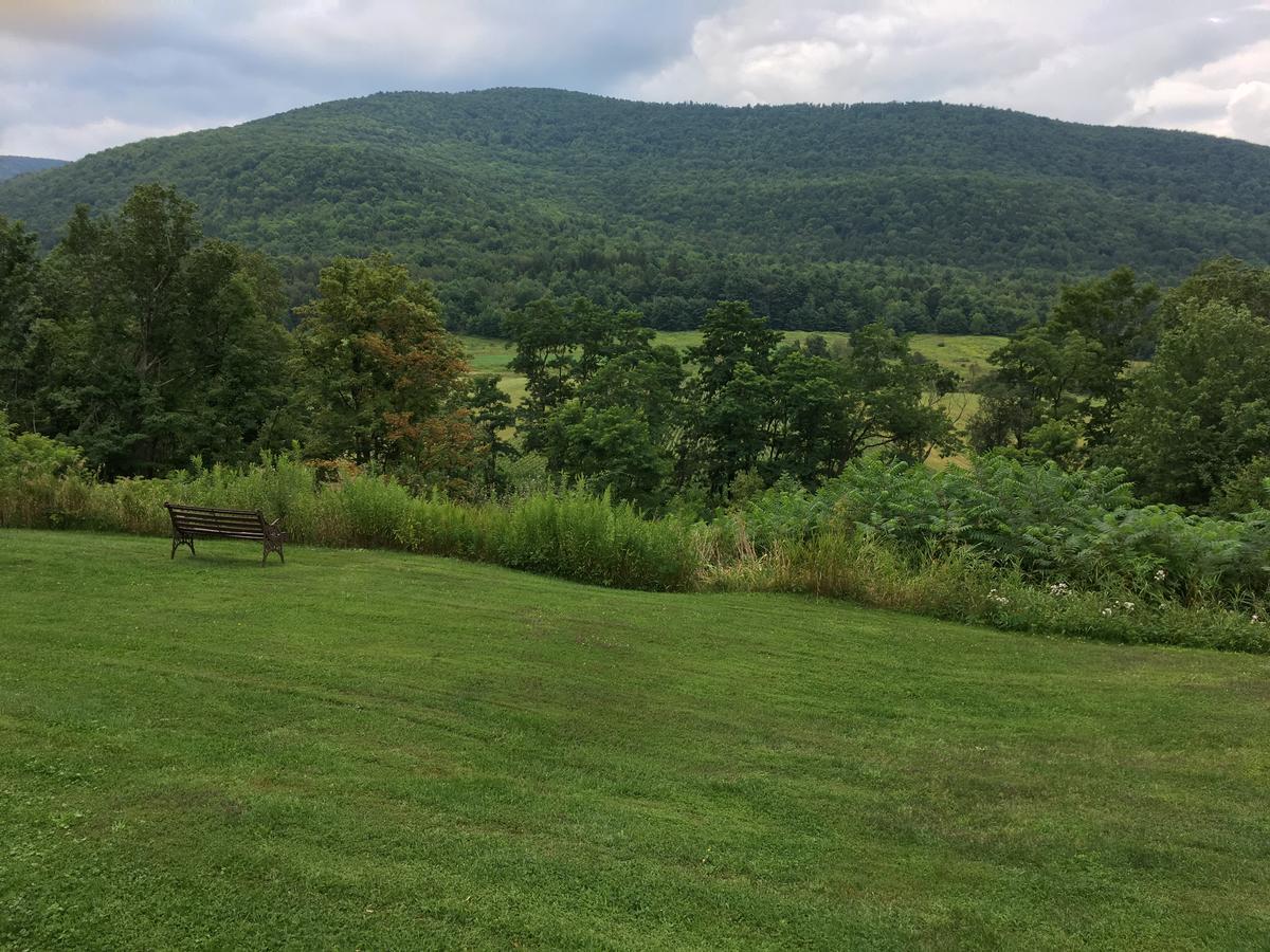 Cave Mountain Motel Windham Dış mekan fotoğraf